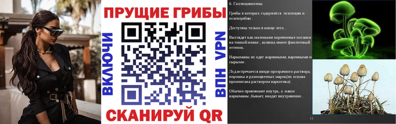 Псилоцибиновые грибы Magic Shrooms  Дюртюли 